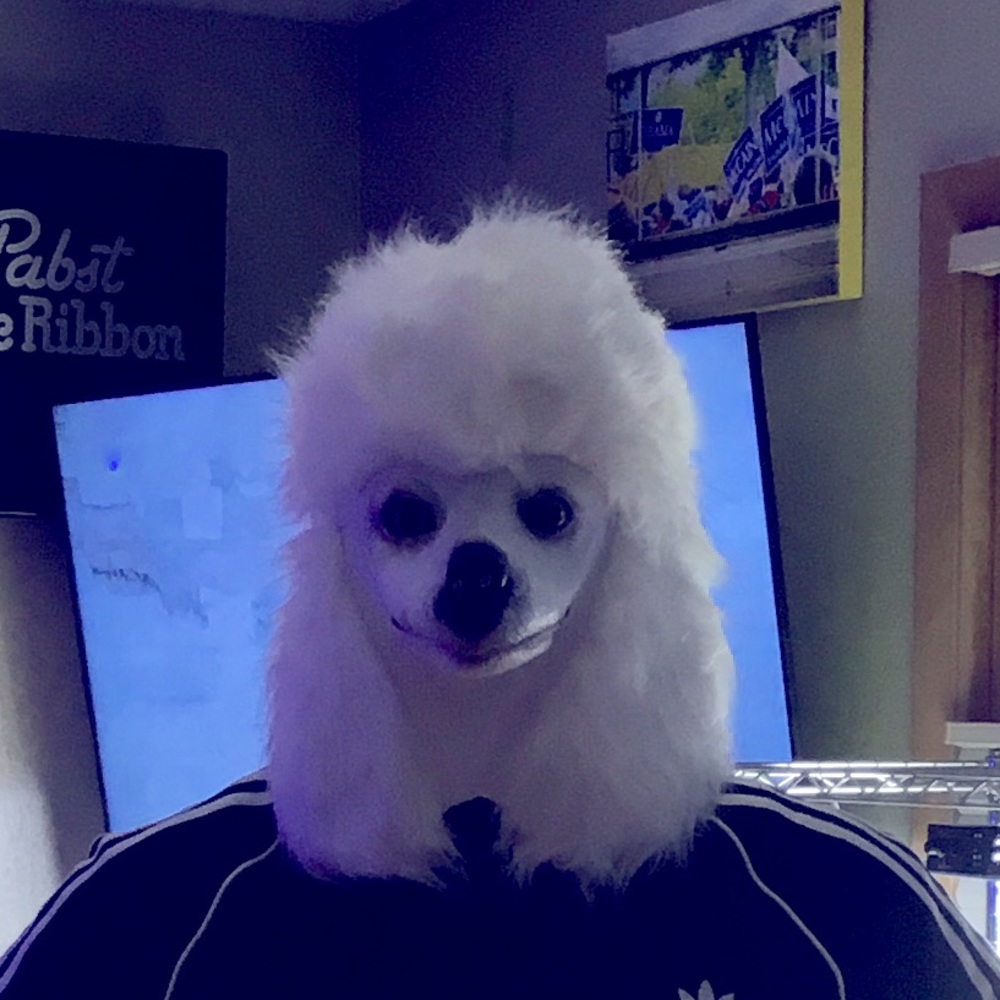 Welcome to My Closet